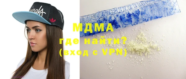индика Гусь-Хрустальный