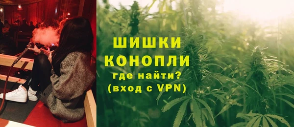 шишки Нея