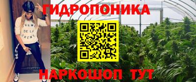 а пвп мука Кингисепп