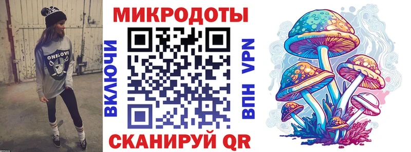как найти закладки  Кызыл  Галлюциногенные грибы Psilocybine cubensis 