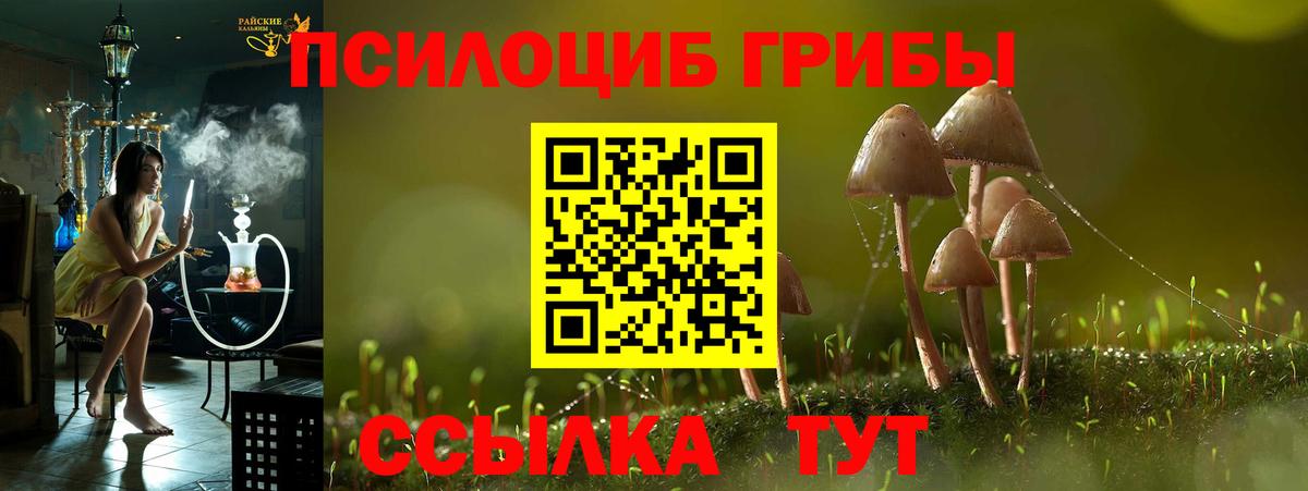 Галлюциногенные грибы Psilocybe  Галлюциногенные грибы Magic Shrooms  Кызыл  Вход с VPN 